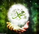 الصورة الرمزية محمد الفاتح