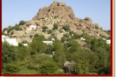 مناظر من القرية 