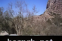 235-topaz-low-resolution-2x