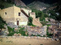 منوعات من المنطقة